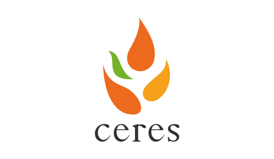 株式会社セレス Logo
